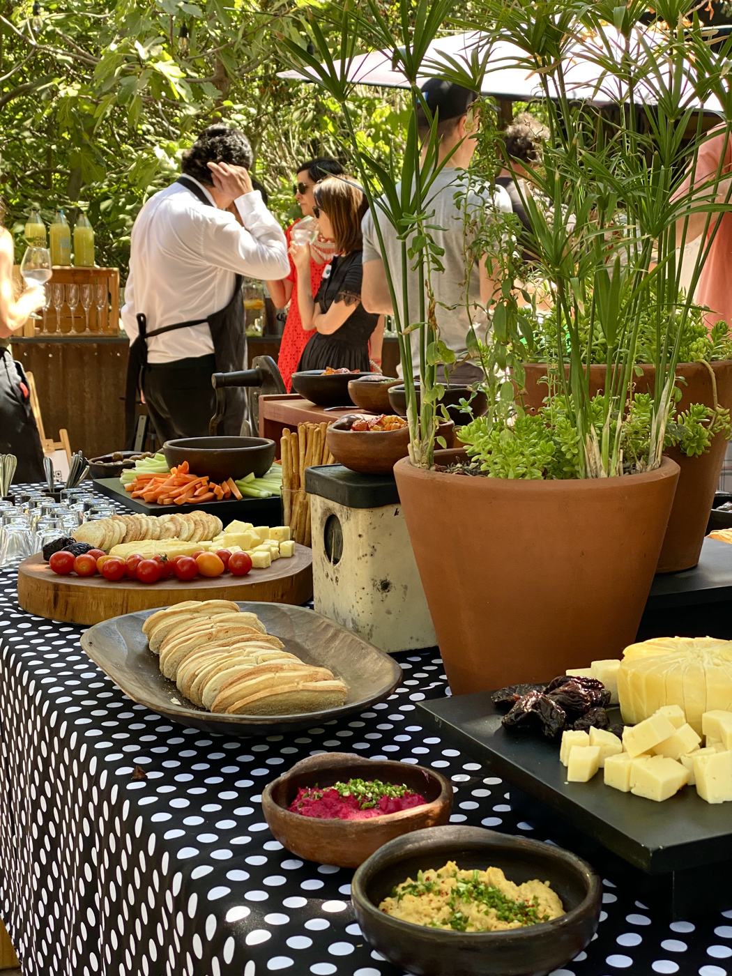 Buffet al aire libre con equipo de servicio